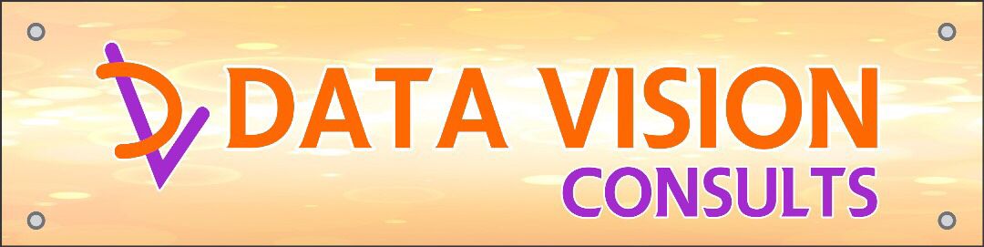 Data Vision Consults Logo